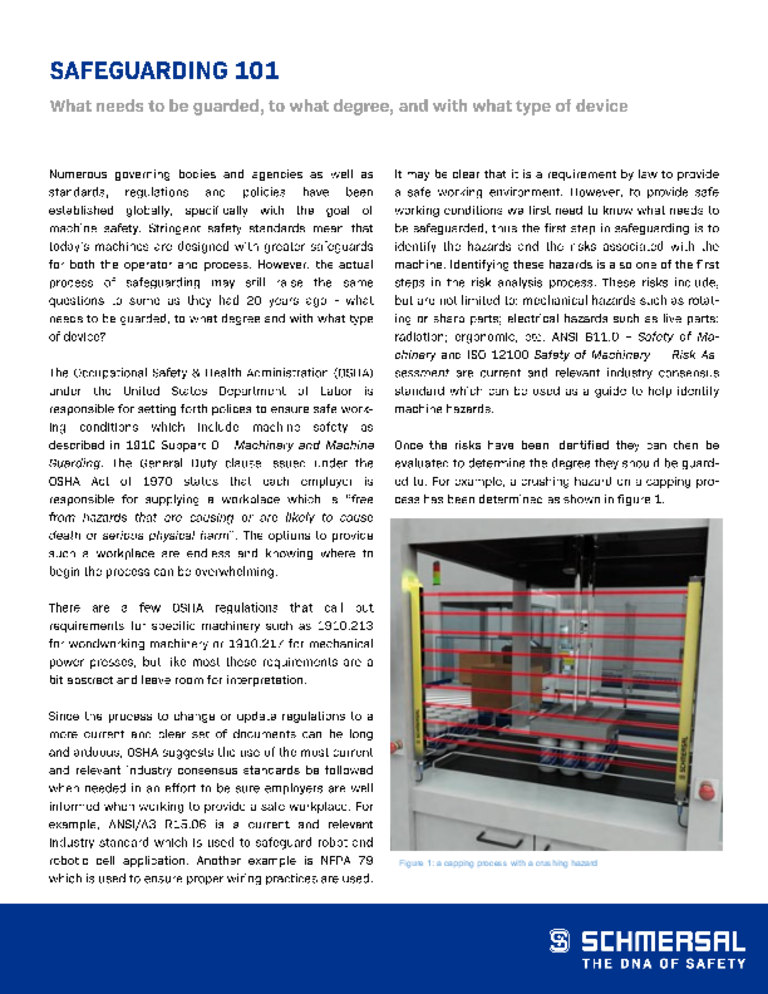 screenshot, first page of article: Safeguarding 101